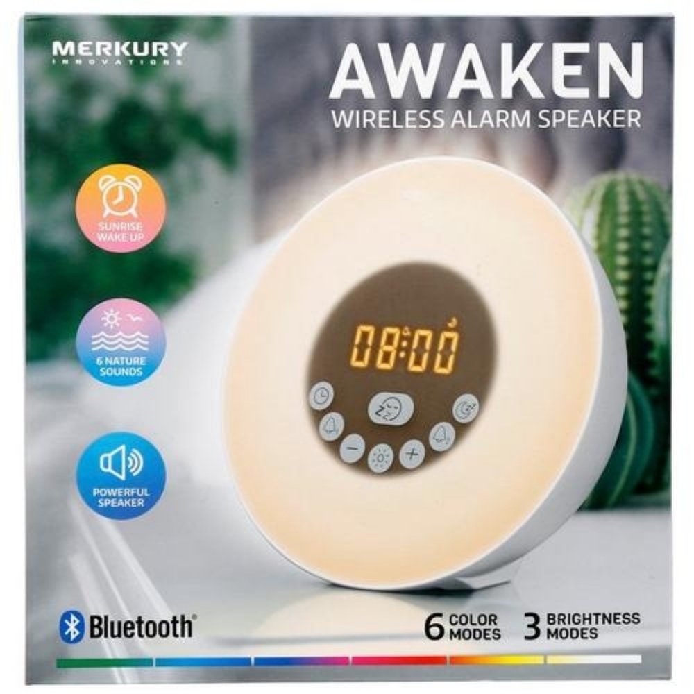 Wireless Alarm Speaker